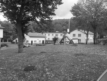 Zdjęcie 14279458