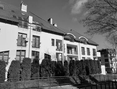 Zdjęcie 14298985