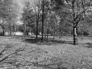 Zdjęcie 14302015