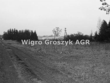 Zdjęcie 14306753