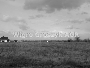 Zdjęcie 14309152