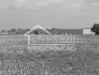 Zdjęcie 14318093