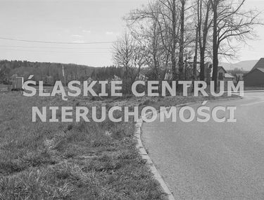 Zdjęcie 14335269