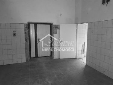 Zdjęcie 14335470