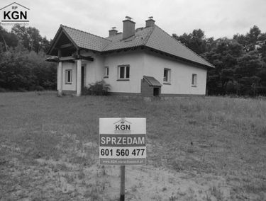 Zdjęcie 14349103