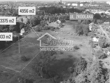Zdjęcie 14373755