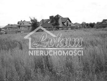 Zdjęcie 14383827