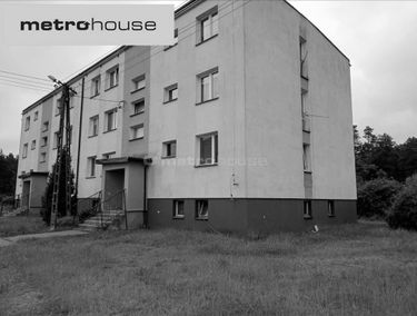 Zdjęcie 14388485