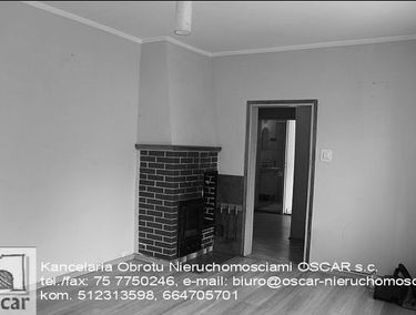 Zdjęcie 14391887