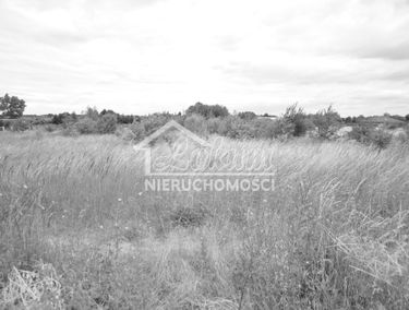 Zdjęcie 14408487