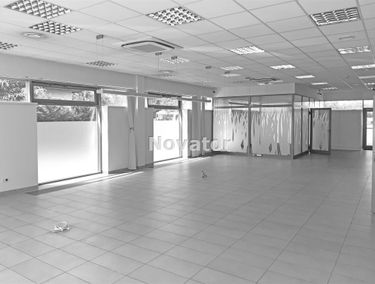 Zdjęcie 14417612