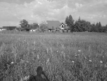 Zdjęcie 14424145