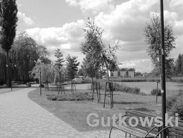 Zdjęcie 14424714