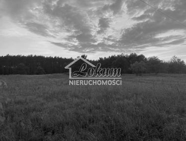 Zdjęcie 14433141