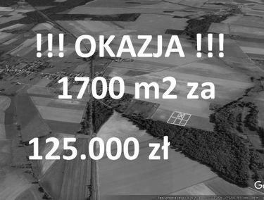Zdjęcie 14457311
