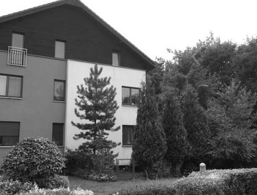 Zdjęcie 14458827