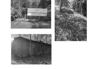 Zdjęcie 14459918