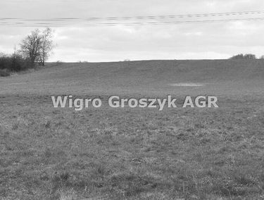 Zdjęcie 14484690