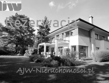 Zdjęcie 14502979