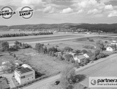 Zdjęcie 14510328