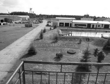 Zdjęcie 14525660