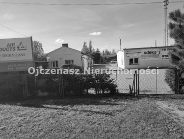 Zdjęcie 14534920