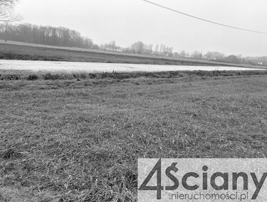 Zdjęcie 14544862