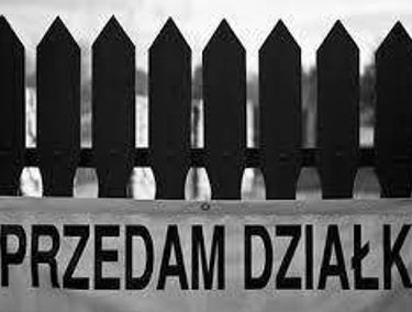 Zdjęcie 14550155