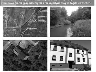 Zdjęcie 14552721