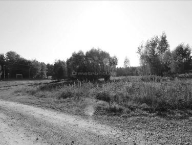 Zdjęcie 14554495