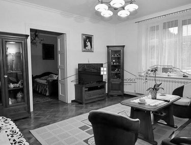 Zdjęcie 14574650
