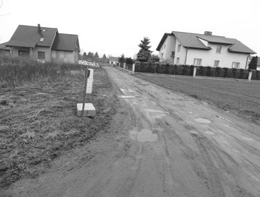 Zdjęcie 14579888