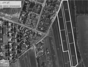 Zdjęcie 14587436
