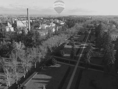 Zdjęcie 14588143