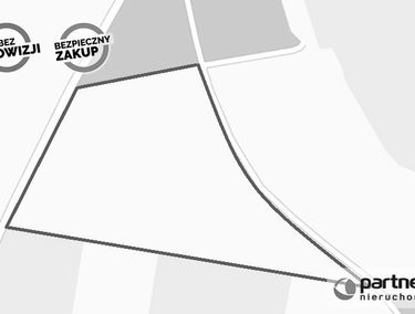 Zdjęcie 14596415