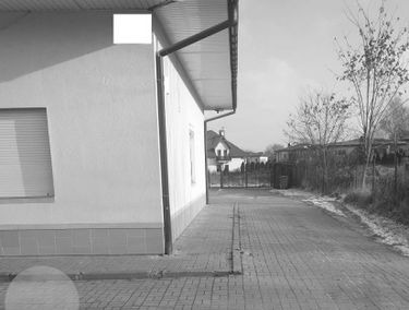 Zdjęcie 14599880