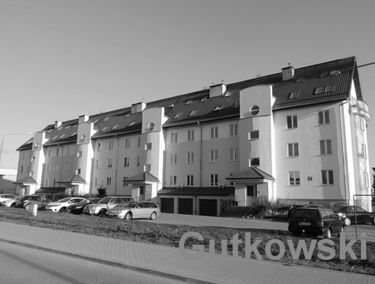 Zdjęcie 14600339