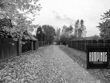 Zdjęcie 14601928