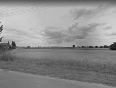 Zdjęcie 14601937