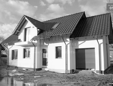 Zdjęcie 14605867