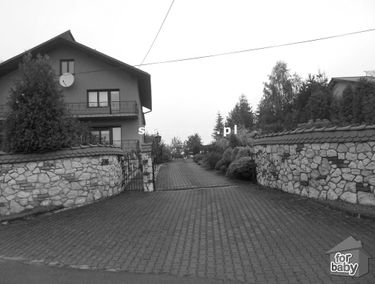 Zdjęcie 14613960