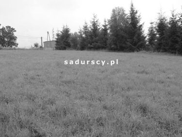Zdjęcie 14613971