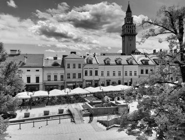 Zdjęcie 14617197