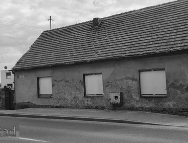 Zdjęcie 14617255