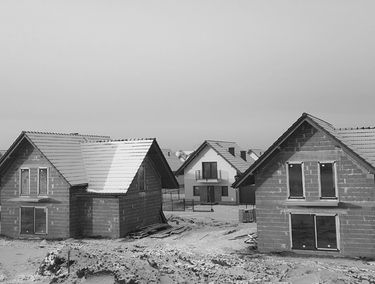 Zdjęcie 14618052