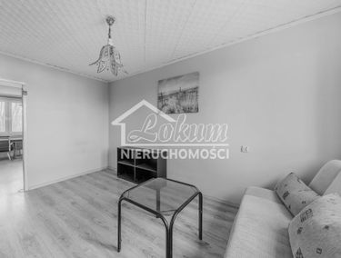 Zdjęcie 14618547