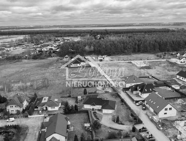 Zdjęcie 14619161