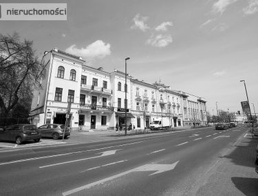Zdjęcie 14619262