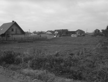 Zdjęcie 14619439