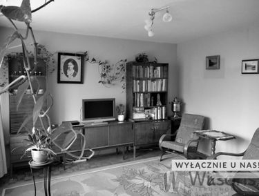 Zdjęcie 14619791